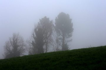 champs de terre labouré